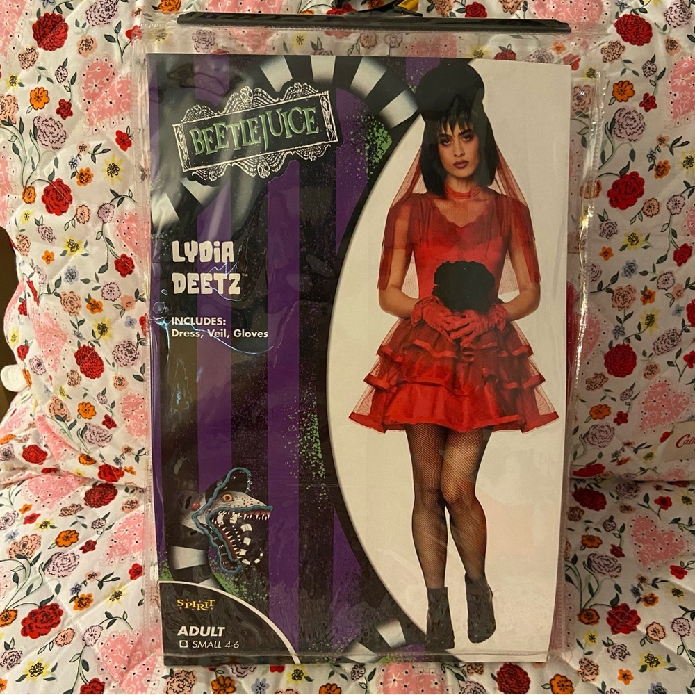 NWT Beetlejuice Lydia Deetz Costume